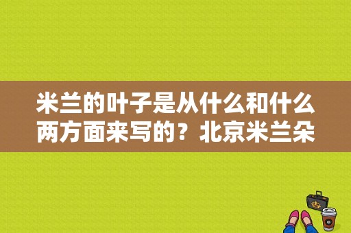 米兰的叶子是从什么和什么两方面来写的？北京米兰朵服饰-图1