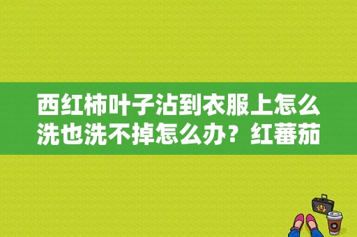 西红柿叶子沾到衣服上怎么洗也洗不掉怎么办？红蕃茄服饰-图1