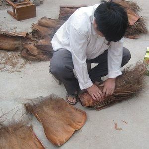 棕衣价格(棕什么价格)-图2 棕衣价格(棕什么价格)-图2