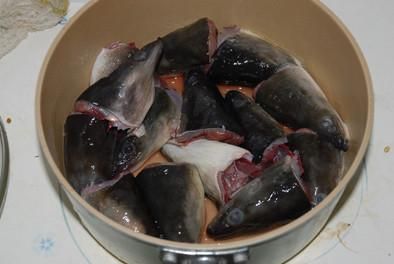 鳗鱼头价格（鳗鱼头怎么做好吃法）-图3