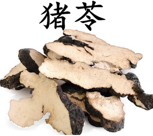 朱苓价格(中药朱苓功效与作用)-图3 朱苓价格(中药朱苓功效与作用)-图3
