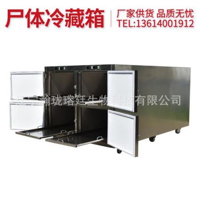 冰尸柜价格（冰柜价格图片）