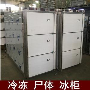 冰尸柜价格(冰柜价格图片)-图2 冰尸柜价格(冰柜价格图片)-图2