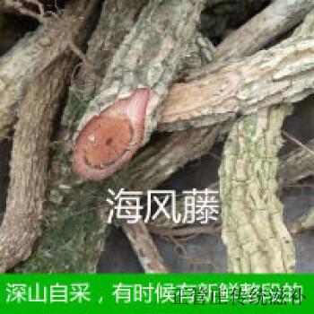 风沙藤价格（风沙藤的功效与作用还有别名）