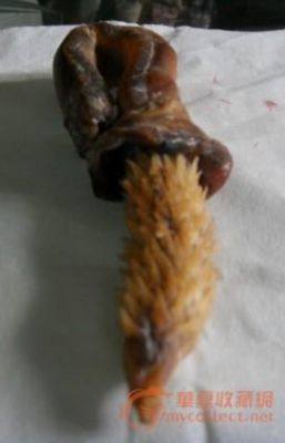 虎鞕价格（虎鞕的功效）