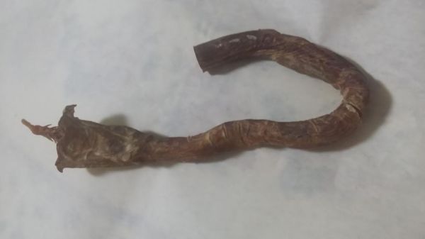 虎鞕价格(虎鞕的功效)-图2 虎鞕价格(虎鞕的功效)-图2