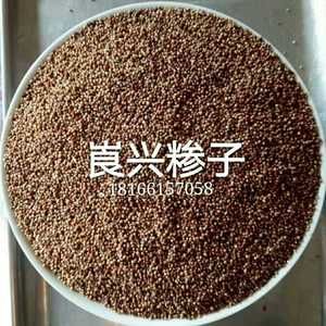 砟子的价格（糁子价格）