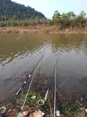 鱼满塘价格(满塘水库钓鱼怎么收费)-图3 鱼满塘价格(满塘水库钓鱼怎么收费)-图3