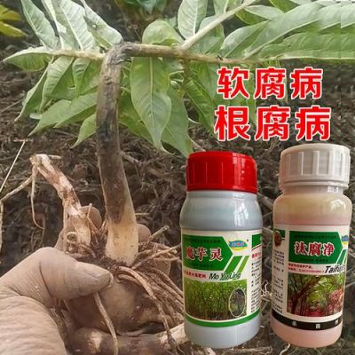 魔芋灵价格(魔芋灵使用方法)-图3 魔芋灵价格(魔芋灵使用方法)-图3