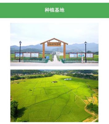亚灿米价格(亚灿米官网)-图3 亚灿米价格(亚灿米官网)-图3