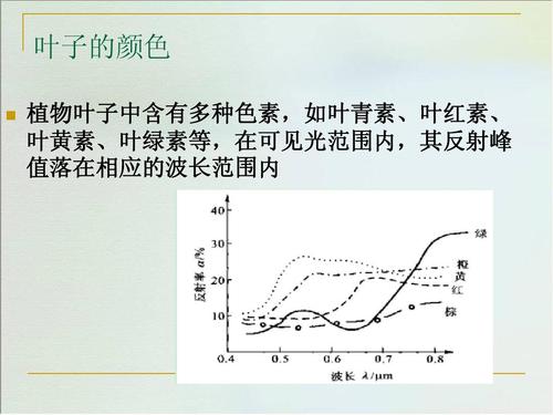 叶青素价格(叶青素和叶黄素的区别)-图2 叶青素价格(叶青素和叶黄素的区别)-图2