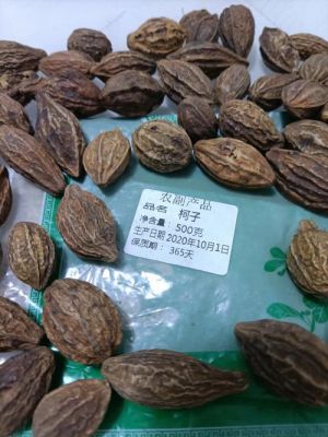 诃子价格(诃子多少钱一公斤)-图3 诃子价格(诃子多少钱一公斤)-图3