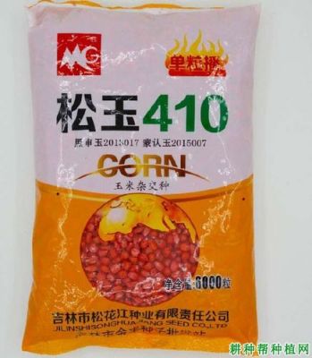 松玉410价格表（松玉413是哪审定的）