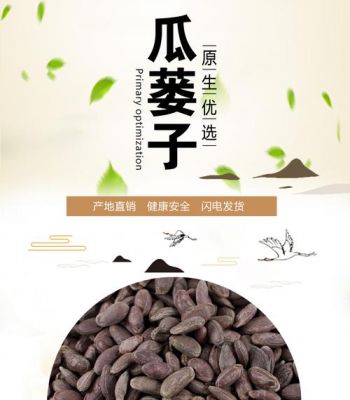 瓜芦籽价格(芦子瓜是什么)-图3 瓜芦籽价格(芦子瓜是什么)-图3