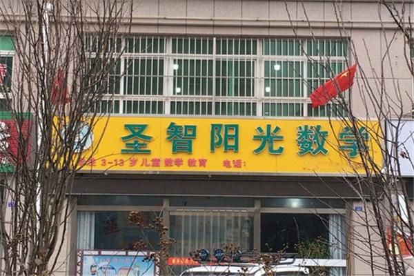圣智阳光数学价格（圣智数学一年多少钱）-图2