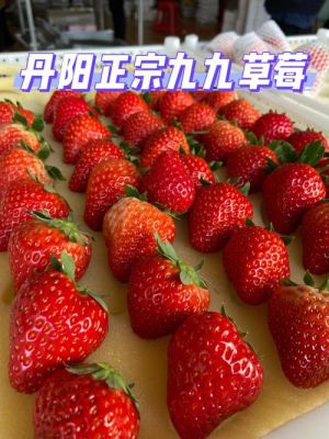 九九叶绿价格(大叶九九草莓是什么品种)-图2 九九叶绿价格(大叶九九草莓是什么品种)-图2