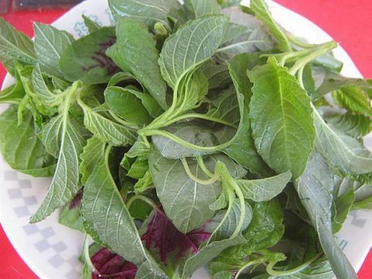 汉菜价格(汉菜价格是多少)-图2 汉菜价格(汉菜价格是多少)-图2