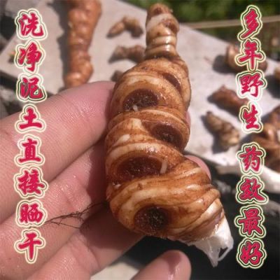 独角灵价格(独角灵长什么样)-图3 独角灵价格(独角灵长什么样)-图3