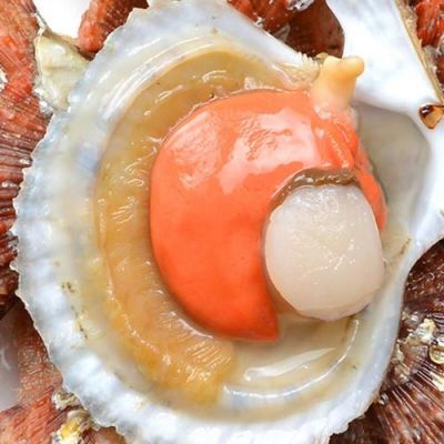 小红贝价格(小红贝是扇贝吗)-图2 小红贝价格(小红贝是扇贝吗)-图2