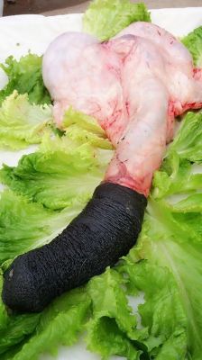 鲜驴鞭价格(市场上驴鞭多少钱一根)-图2 鲜驴鞭价格(市场上驴鞭多少钱一根)-图2