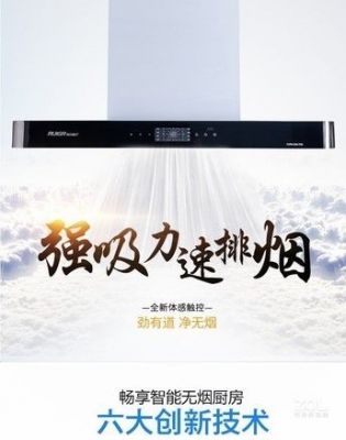 瑞贝格尔抽油烟机价格(瑞贝格尔燃气热水器价格)-图2 瑞贝格尔抽油烟机价格(瑞贝格尔燃气热水器价格)-图2