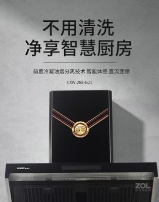 瑞贝格尔抽油烟机价格(瑞贝格尔燃气热水器价格)-图3 瑞贝格尔抽油烟机价格(瑞贝格尔燃气热水器价格)-图3