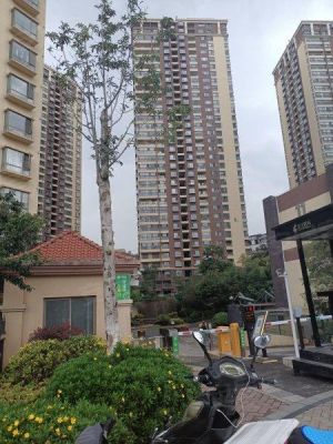 金马腾苑价格(金马腾苑怎么样)-图3 金马腾苑价格(金马腾苑怎么样)-图3