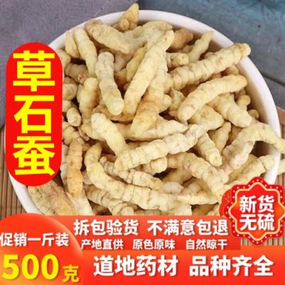 地蚕草的价格(地蚕草的药用价值)-图3 地蚕草的价格(地蚕草的药用价值)-图3