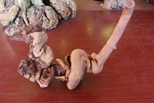 沙枣树根雕价格(沙枣木树根)-图2 沙枣树根雕价格(沙枣木树根)-图2