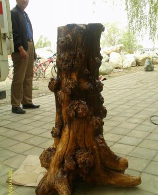沙枣树根雕价格(沙枣木树根)-图3 沙枣树根雕价格(沙枣木树根)-图3
