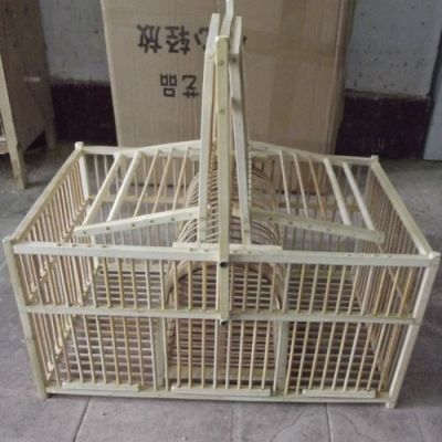初记鸟笼价格(鸟笼子价格)-图2 初记鸟笼价格(鸟笼子价格)-图2