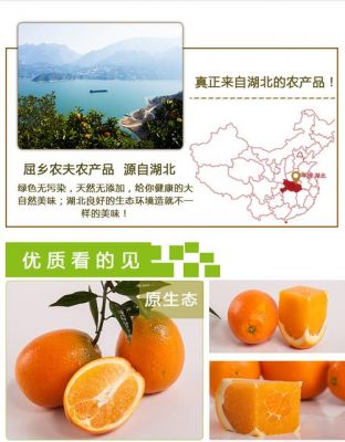 2016秭归脐橙价格（秭归脐橙新品种）