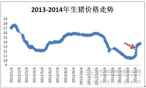 平度市生猪价格(平度市生猪价格走向)-图2 平度市生猪价格(平度市生猪价格走向)-图2
