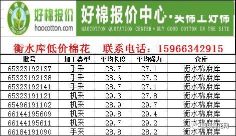 衡水棉花价格（衡水棉花价格多少钱一斤）