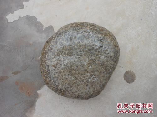 鱼籽石原石价格(鱼籽石原石价格走势)-图2 鱼籽石原石价格(鱼籽石原石价格走势)-图2