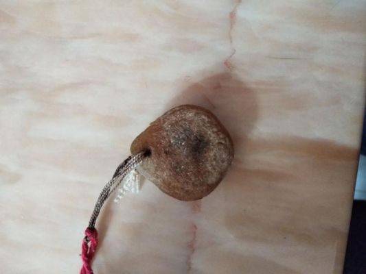 青鱼喉骨价格（青鱼喉咙里面的骨头）