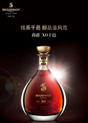 尚爵xo价格(尚爵汽车)-图3 尚爵xo价格(尚爵汽车)-图3