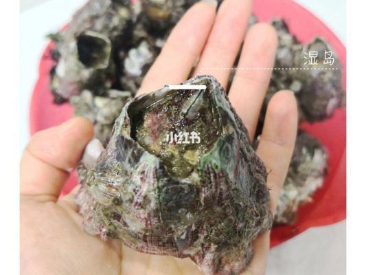 藤壶的价格(藤壶价格排行榜)-图2 藤壶的价格(藤壶价格排行榜)-图2