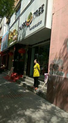 卡波树价格（卡波是什么?百度知道）