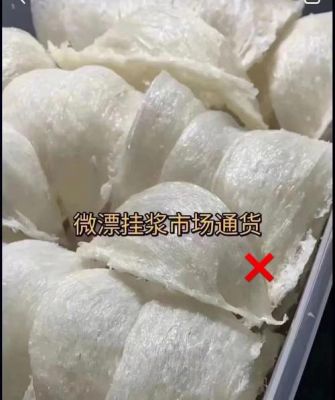 土燕窝价格(土燕窝的功效与作用)-图1 土燕窝价格(土燕窝的功效与作用)-图1