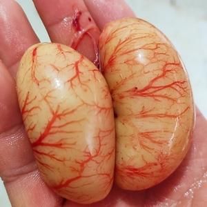 鸡春子价格(鸡春子,益处,疗效)-图2 鸡春子价格(鸡春子,益处,疗效)-图2