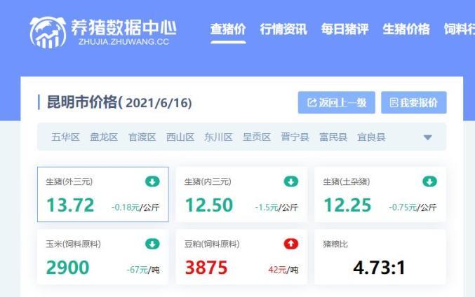 昆明小猪价格(昆明今日小猪价格)-图3 昆明小猪价格(昆明今日小猪价格)-图3