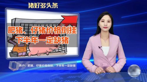 灵寿仔猪价格（今天灵寿肥猪的价格）