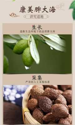 胖大海表价格(胖大海多少钱一瓶)-图2 胖大海表价格(胖大海多少钱一瓶)-图2