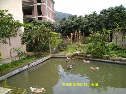 北江沙价格(沙头北江农庄)-图3 北江沙价格(沙头北江农庄)-图3