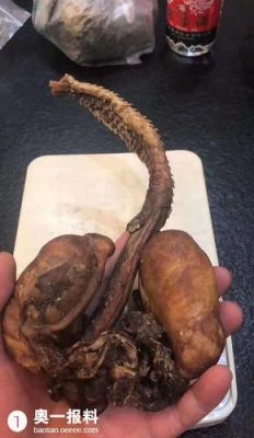 虎鞭价格评估多少(虎鞭多少钱一个)-图3 虎鞭价格评估多少(虎鞭多少钱一个)-图3
