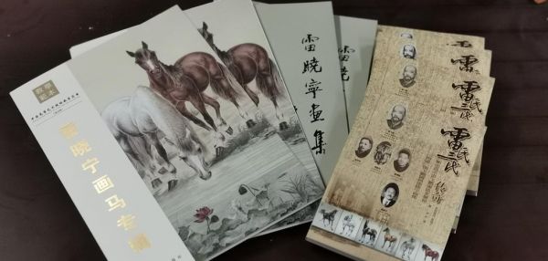 雷晓宁价格(雷晓简历)-图2 雷晓宁价格(雷晓简历)-图2