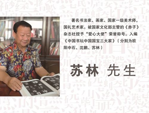 苏林书法价格（书法家苏林书法多少钱）