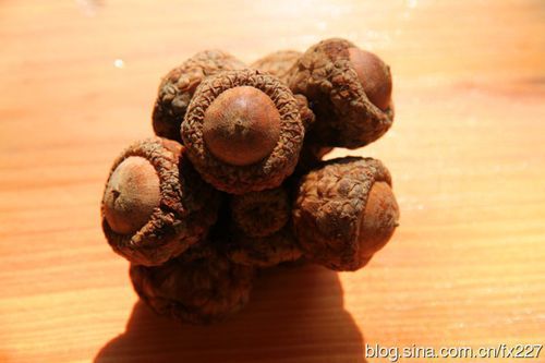 中华肾果价格(中华肾果泡茶)-图3 中华肾果价格(中华肾果泡茶)-图3