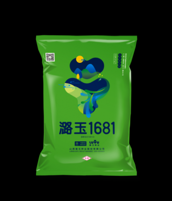 潞玉36价格(潞玉1681品种介绍)-图1 潞玉36价格(潞玉1681品种介绍)-图1